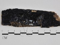 登錄號:F0029627藏品圖，第1張