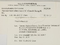 登錄號:F0029630藏品圖，第2張