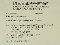 登錄號:F0029632藏品圖，第2張