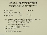 寡孔菌屬藏品圖，第2張