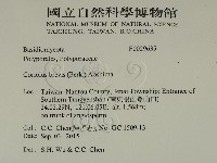 登錄號:F0029635藏品圖，第2張