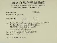 寡孔菌屬藏品圖，第2張