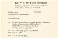 登錄號:F0029638藏品圖，第2張