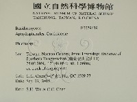 射脈菌屬藏品圖，第2張