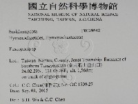 登錄號:F0029642藏品圖，第2張