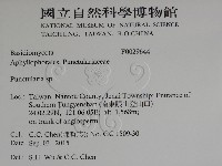 登錄號:F0029644藏品圖，第2張