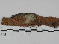 登錄號:F0029648藏品圖，第1張