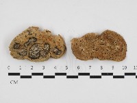 登錄號:F0029649藏品圖，第1張