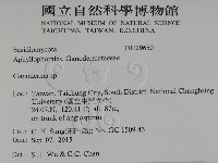 靈芝屬藏品圖，第2張