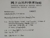 登錄號:F0029653藏品圖，第2張