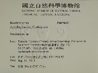 登錄號:F0029654藏品圖，第2張
