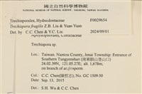 登錄號:F0029654藏品圖，第3張