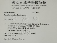 登錄號:F0029656藏品圖，第2張