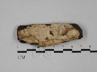 登錄號:F0029656藏品圖，第1張