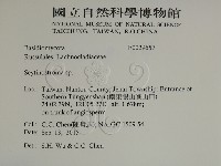 登錄號:F0029657藏品圖，第2張