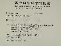 射脈菌屬藏品圖，第2張