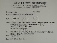 刺革菌屬藏品圖，第2張