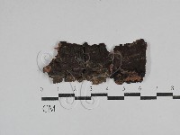 登錄號:F0029661藏品圖，第1張