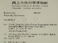 登錄號:F0029662藏品圖，第2張