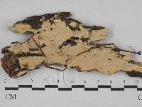 登錄號:F0029662藏品圖，第1張