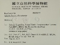 射脈菌屬藏品圖，第2張
