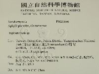 登錄號:F0029664藏品圖，第2張