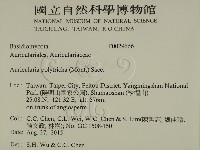 毛木耳藏品圖，第2張