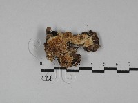 登錄號:F0029669藏品圖，第1張