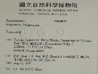 栓菌屬藏品圖，第2張