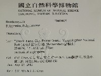栓菌屬藏品圖，第2張