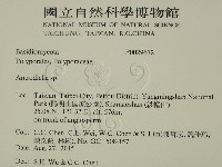 登錄號:F0029672藏品圖，第2張