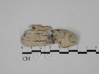 登錄號:F0029672藏品圖，第1張