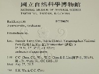 刺皮菌屬藏品圖，第2張