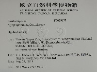 絲齒菌屬藏品圖，第2張