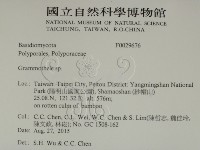 登錄號:F0029676藏品圖，第2張