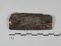 登錄號:F0029676藏品圖，第1張