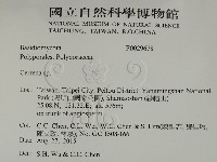 登錄號:F0029678藏品圖，第2張