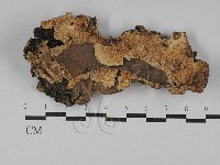 登錄號:F0029678藏品圖，第1張