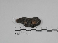 登錄號:F0029680藏品圖，第3張