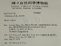 骨皮菌屬藏品圖，第2張