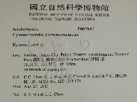 刺革菌屬藏品圖，第2張