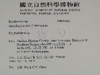 絲齒菌屬藏品圖，第2張