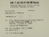 登錄號:F0029687藏品圖，第2張