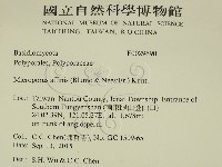 相鄰小孔菌藏品圖，第2張