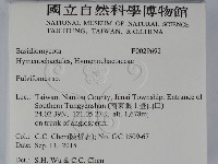 登錄號:F0029692藏品圖，第2張