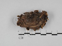 登錄號:F0029692藏品圖，第1張