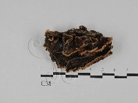 登錄號:F0029692藏品圖，第3張