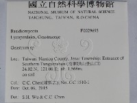 地星屬藏品圖，第2張