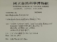登錄號:F0029694藏品圖，第2張