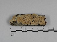 登錄號:F0029694藏品圖，第1張